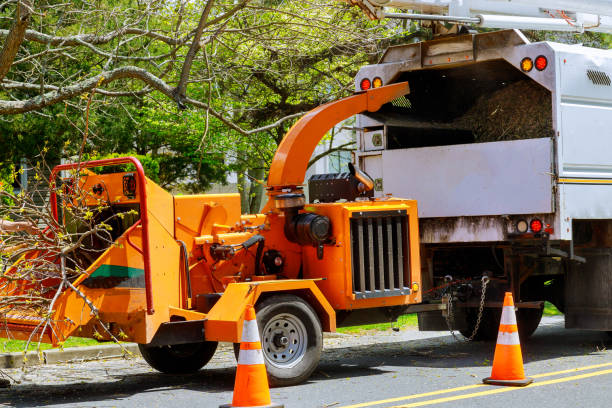 Best Utility Line Clearance  in Marco Island, FL